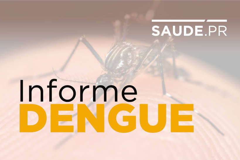Secretaria da Saúde confirma 848 casos de dengue no Paraná