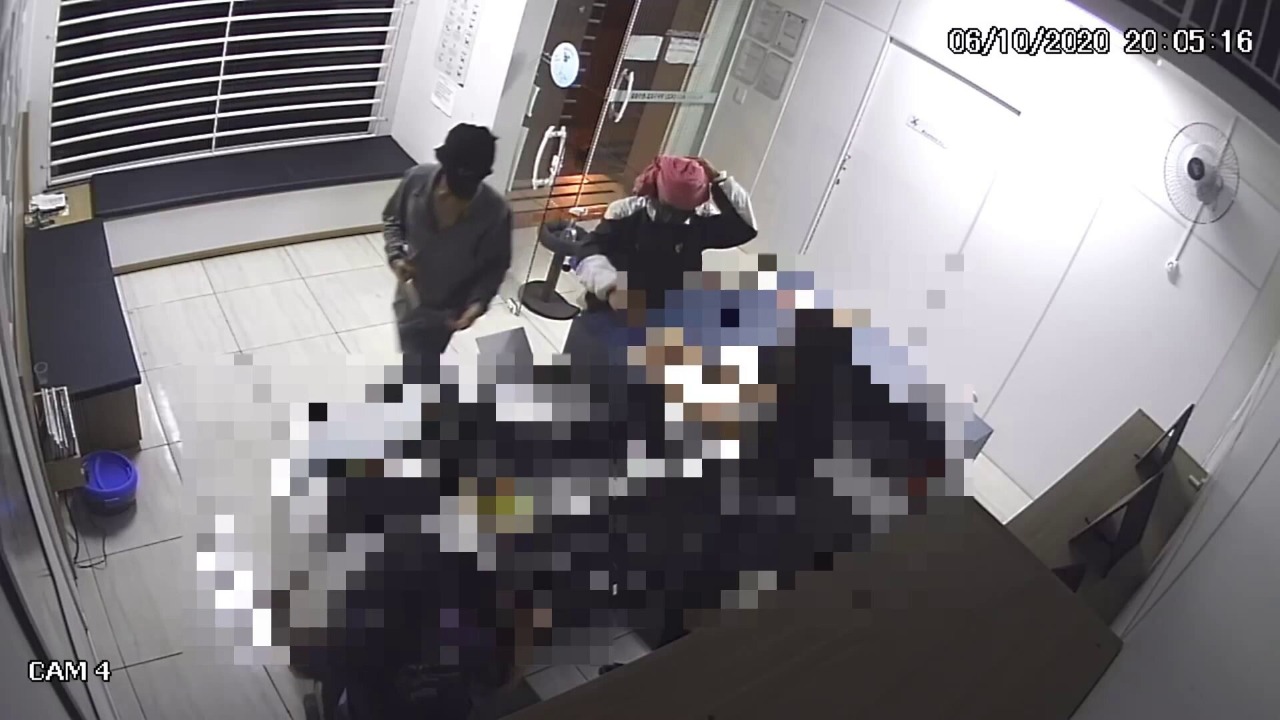 Ladrões assaltam clínica veterinária; veja as imagens