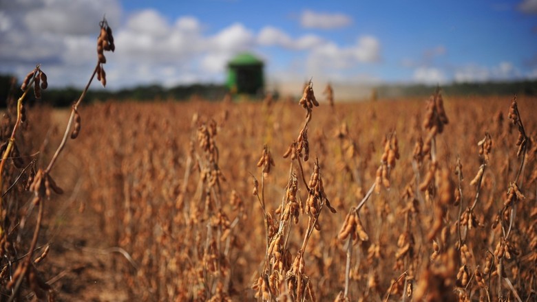 Safra de grãos 2020/2021 apresenta redução de 7,3% no estado