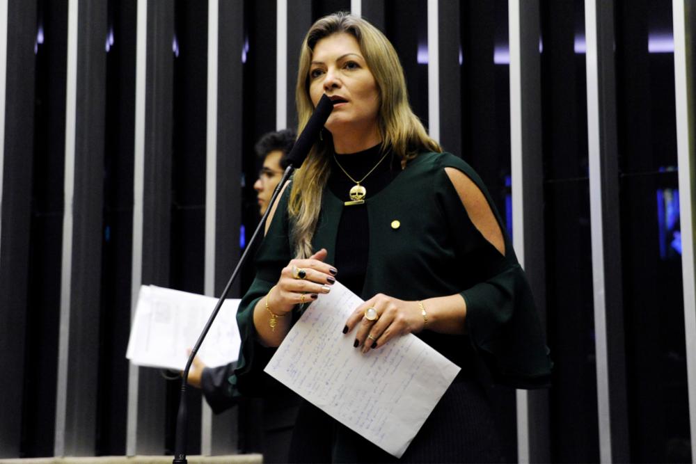 Deputada Aline encontra-se com prefeitos da região Norte do Paraná