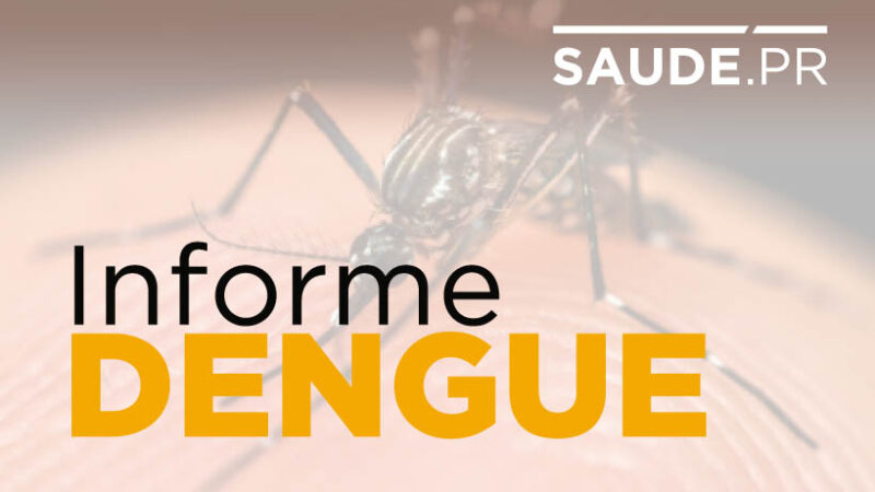 Paraná registra 2 óbitos e 741 casos de dengue em dois meses