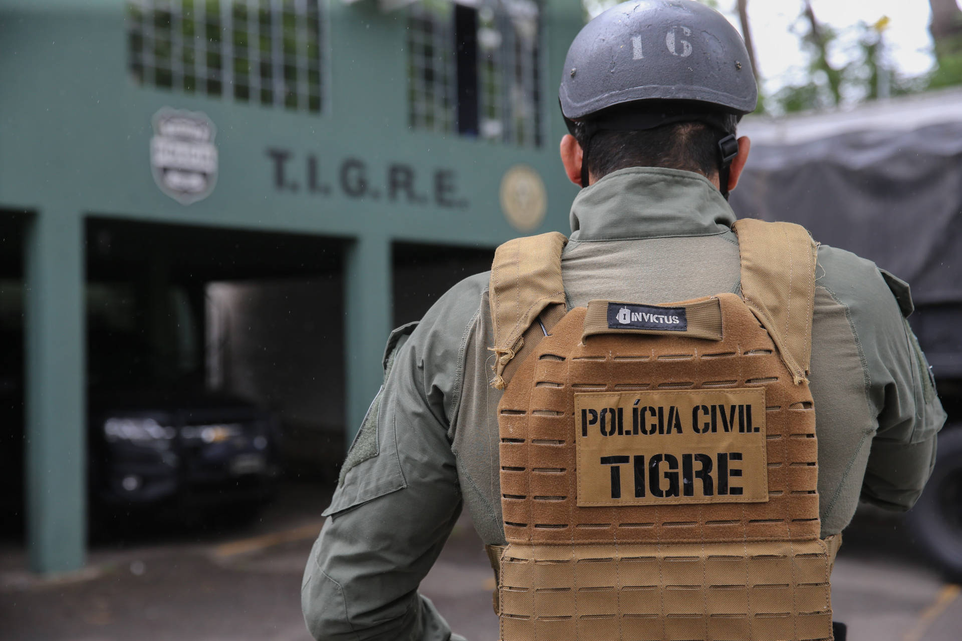Grupo Tigre completa 30 anos como referência no Brasil