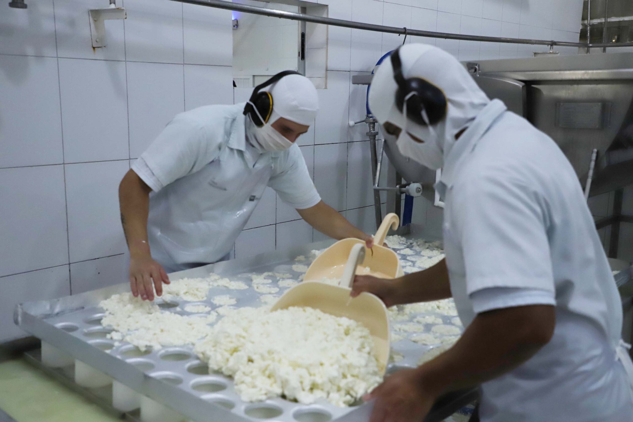 ​Indústrias de laticínios ampliam a importância da cadeia do leite no Paraná