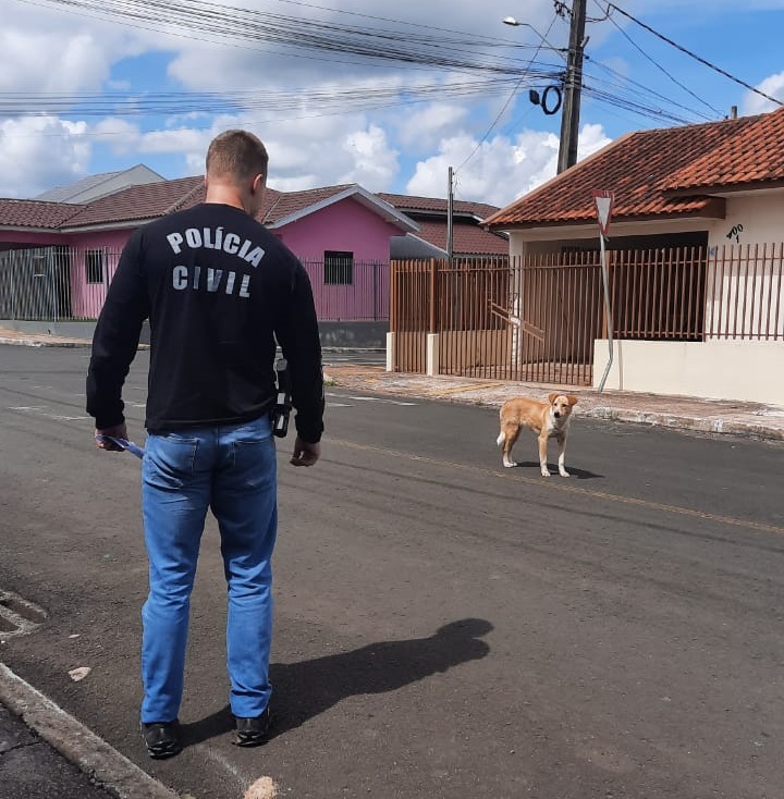 Polícia Civil e protetores investigam maus-tratos a animais em Castro
