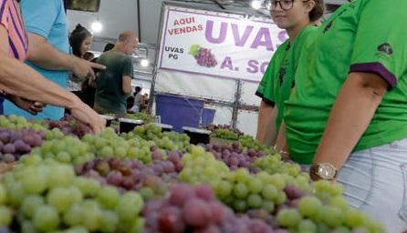 38ª Fesuva pretende vender 40 tonelada da fruta em PG