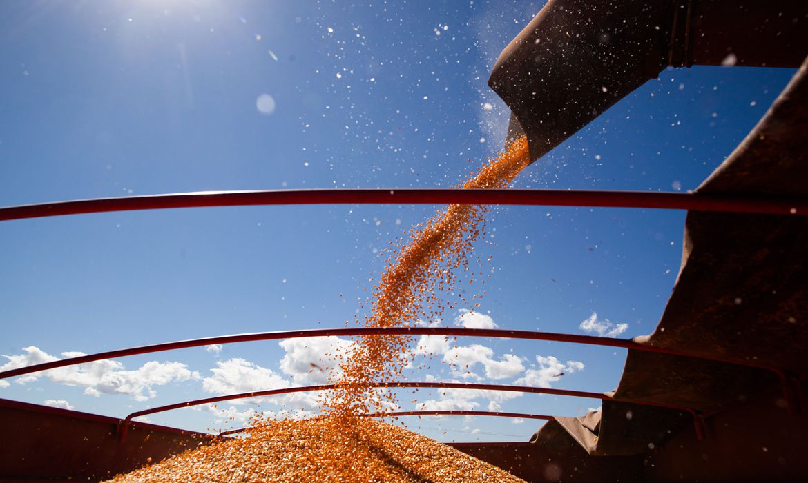Produção de grãos deve chegar a 268,3 milhões de toneladas