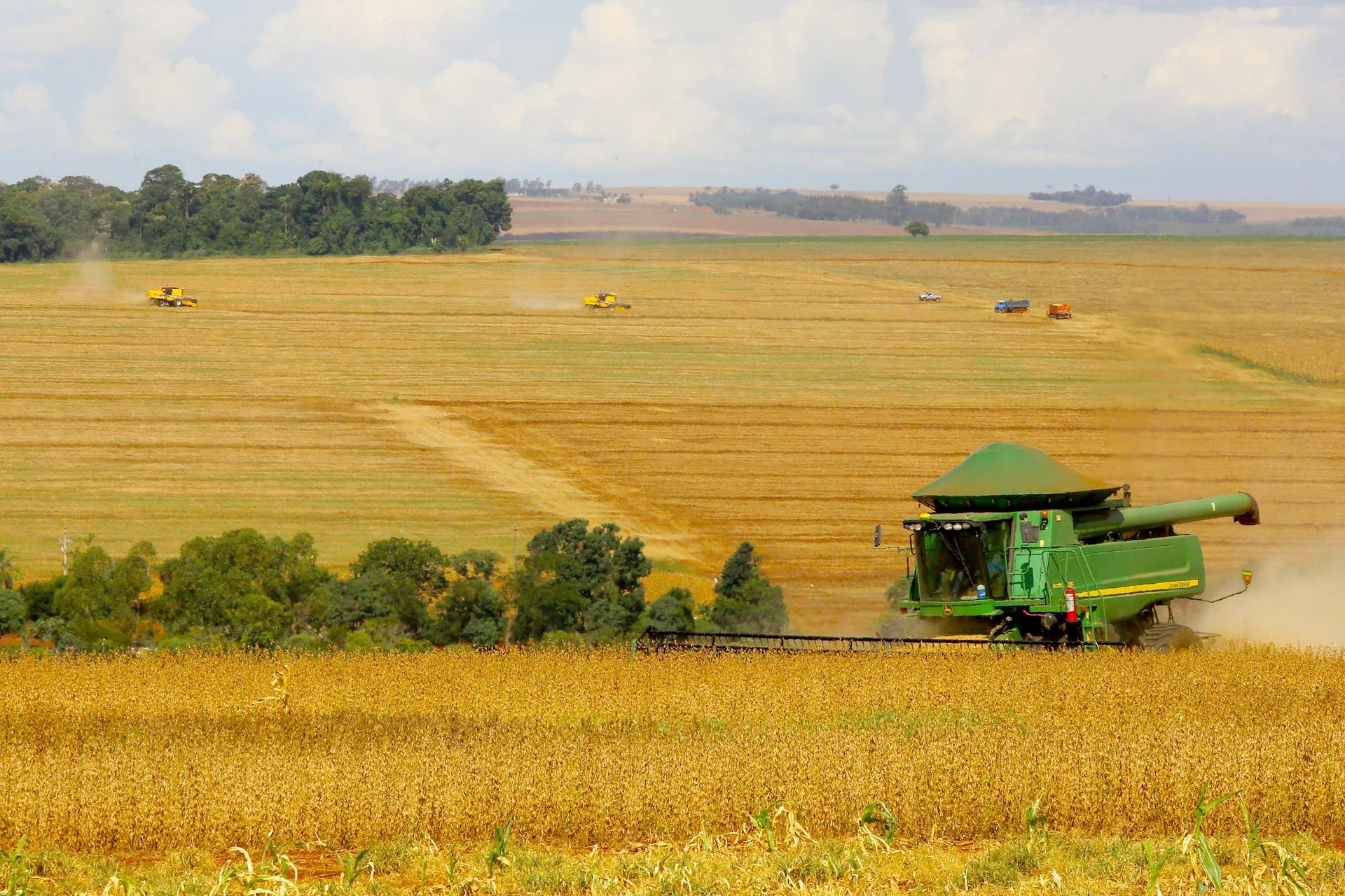 Paraná deve colher 23,9 milhões de toneladas de grãos