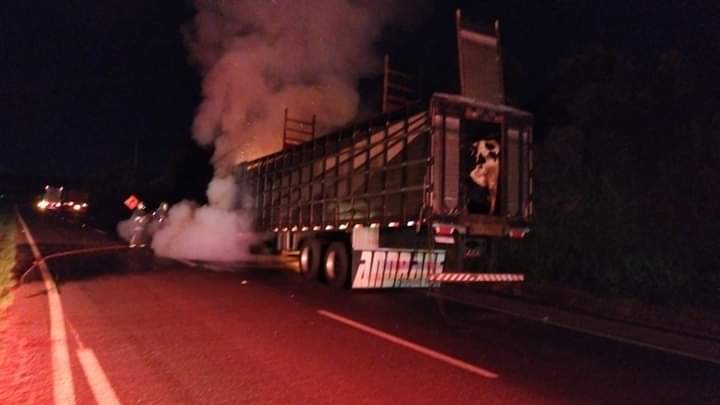 Caminhão carregado de gado mata motociclista e pega fogo