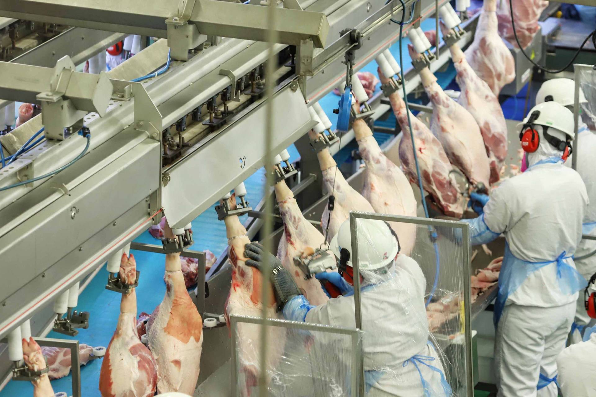 Paraná ampliou a produção e o protagonismo na cadeia de carnes em 2020