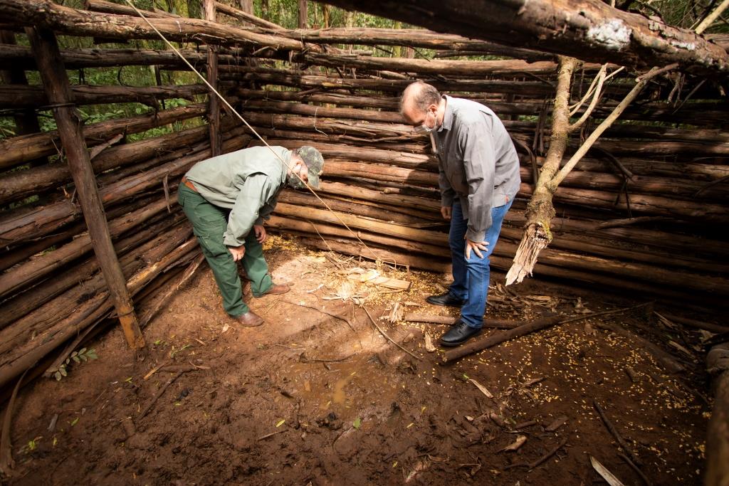 Projeto da UEPG analisa zoonoses relacionadas a javalis em parques do Paraná