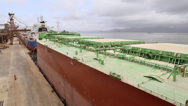 Porto bate recorde e faz maior embarque de farelo de soja em um único navio