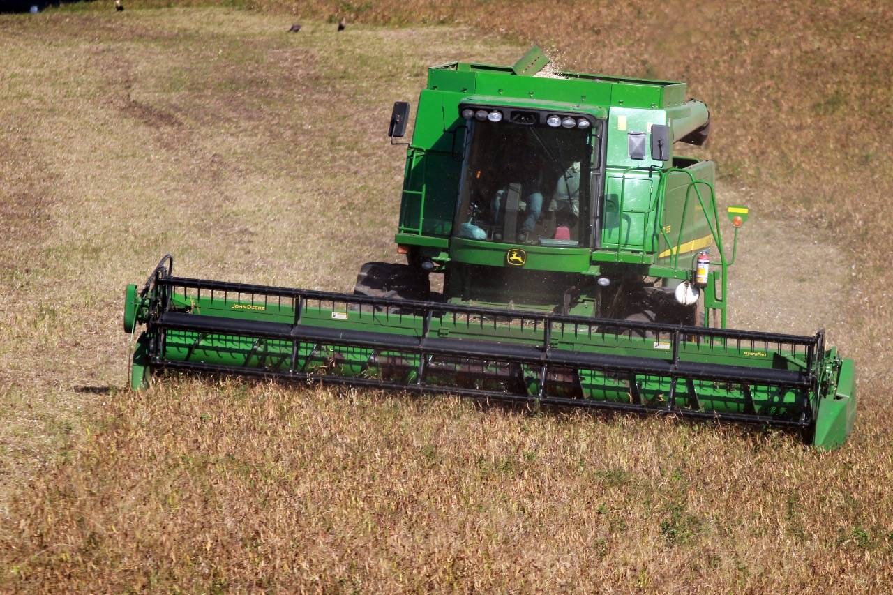 Paraná deve produzir 38,6 milhões de toneladas de grãos na safra 2020/21
