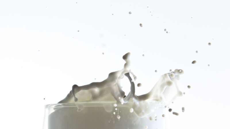 Preço do leite se eleva devido a estiagem e outros fatores