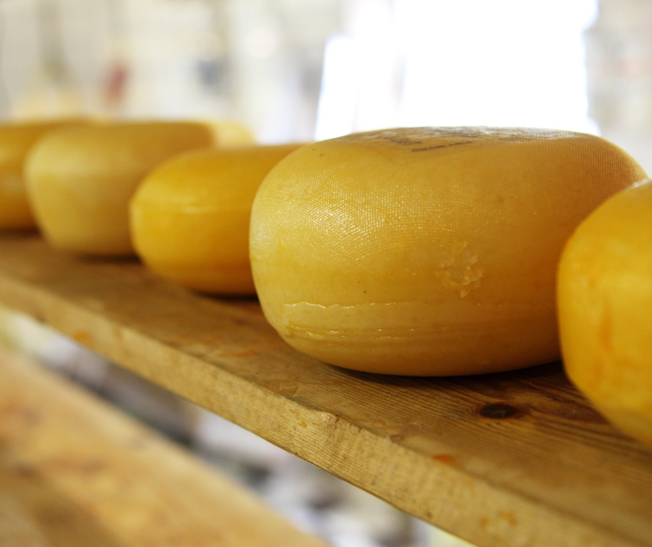 Capal, Castrolanda e Frísia preparam investimentos de mais de R$ 379 milhões para construção de uma queijaria