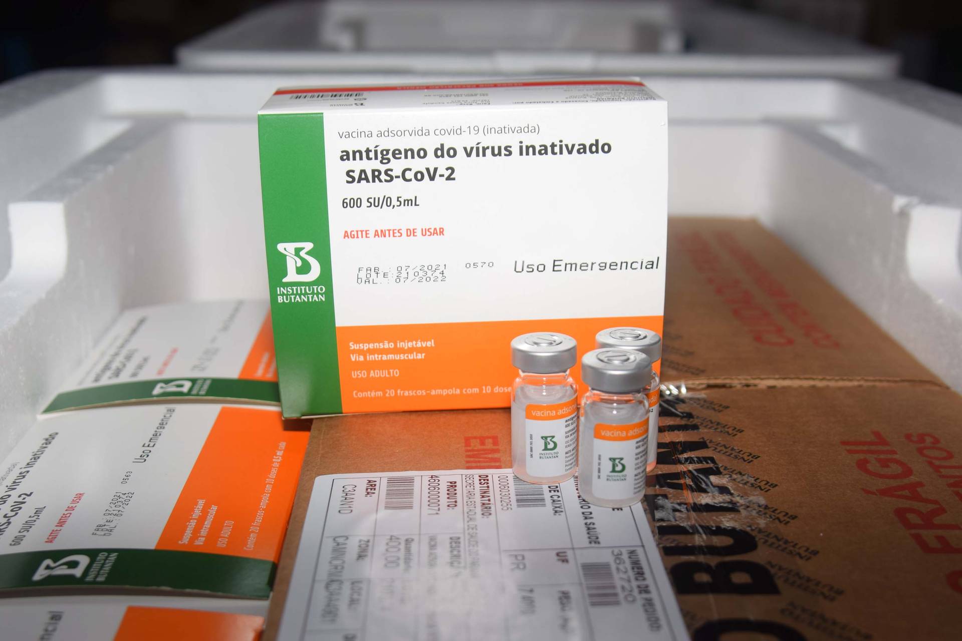 Mais 366.300 doses de vacinas contra a Covid-19 vão chegar ao Paraná