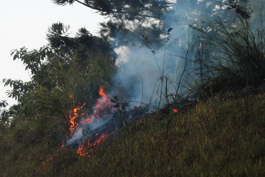 Castro registra seis focos de incêndios em vegetação no final de semana