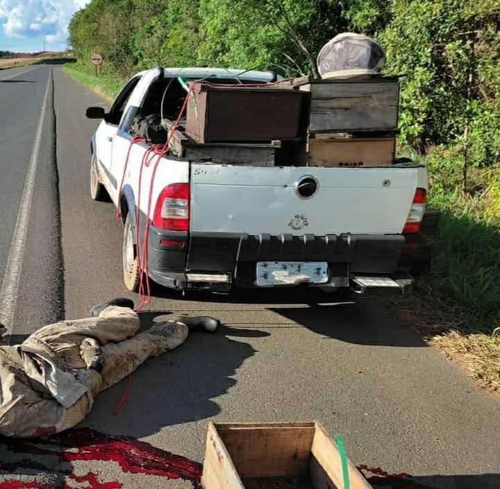 Apicultor morre baleado na beira de rodovia em Tibagi
