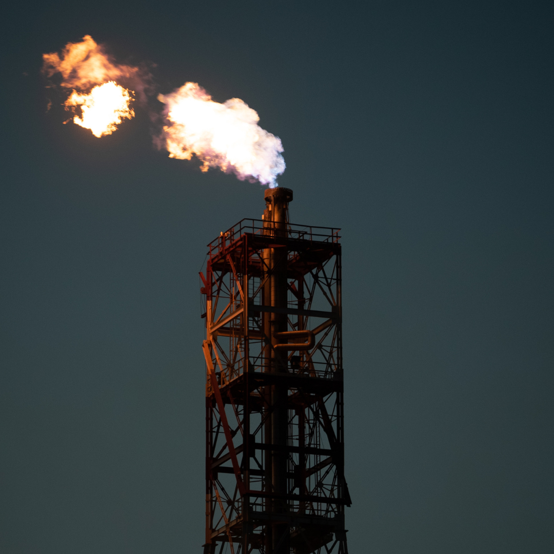 Petrobras reajusta preços da gasolina e do gás de cozinha