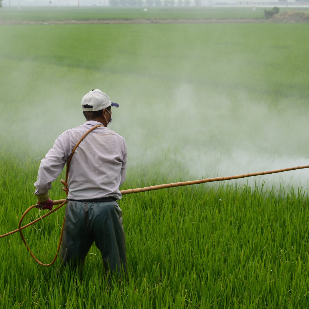 Novo decreto do governo federal sobre agrotóxicos exige capacitação para os aplicadores