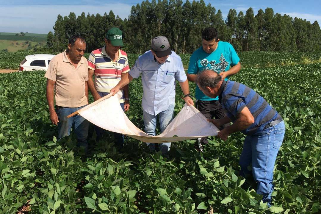 IDR-Paraná apresenta resultados de boas práticas na produção de soja na safra 2020/2021