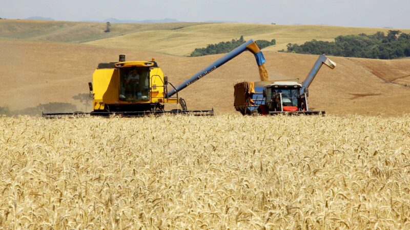 No Paraná, trigo chega à reta final da colheita com preços em alta