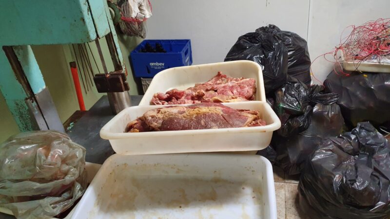 Comerciante em Castro é preso por vender carne em condições impróprias para consumo