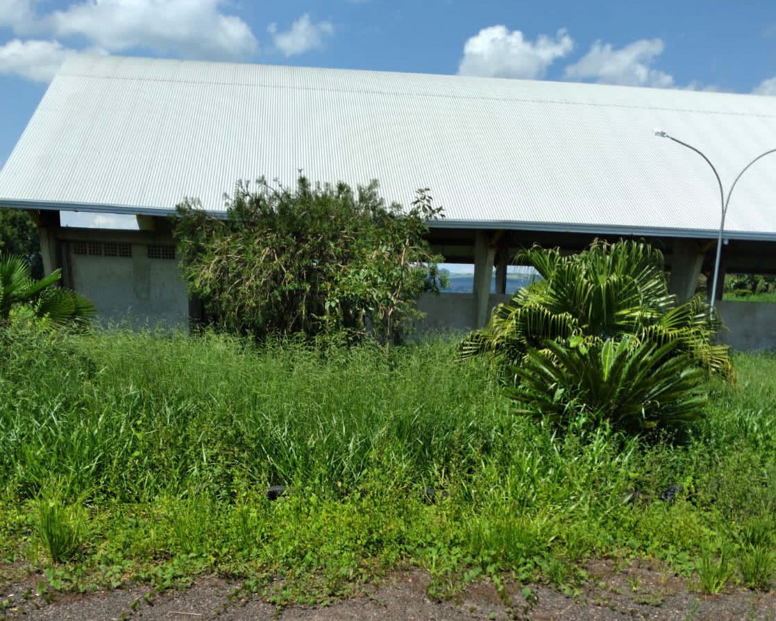 Prefeitura de Carambeí toma providências após reclamação de pais quanto a matagal em pátio de escola e número insuficiente de funcionários