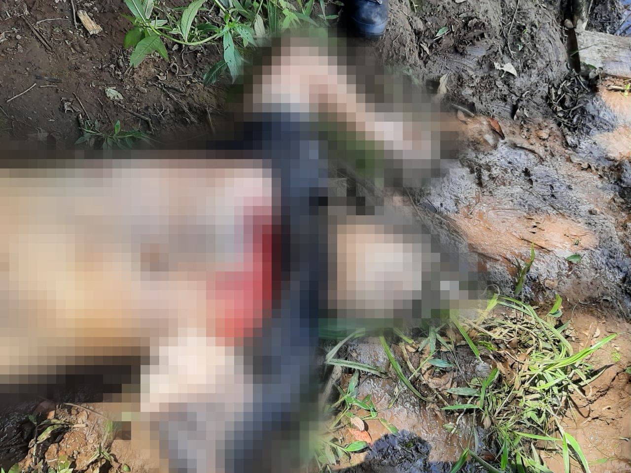 Corpo com perfurações de bala é encontrado boiando nas águas do Tibagi
