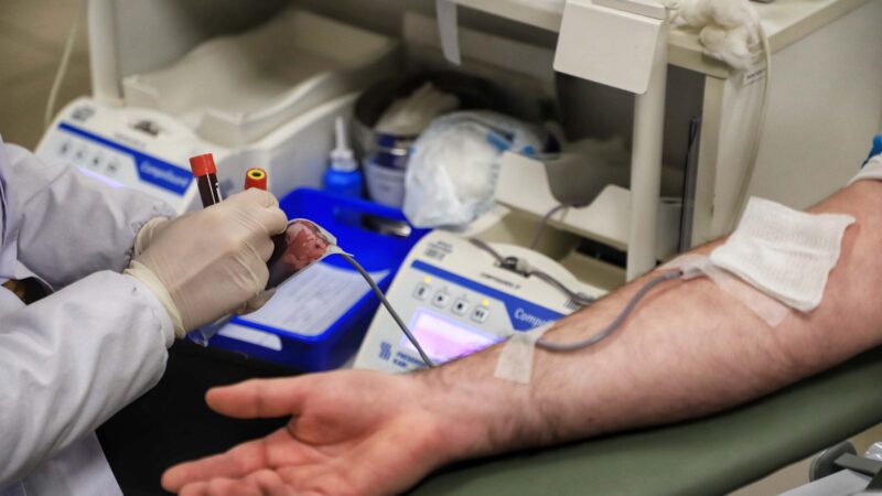 Com redução de estoques, Hemepar alerta para necessidade de mais doadores de sangue
