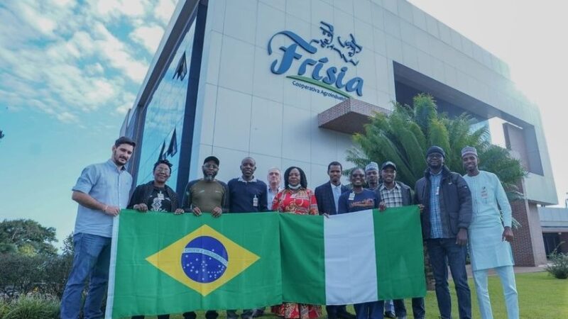Nigerianos visitam a Frísia para conhecer trabalho desenvolvido na pecuária leiteira