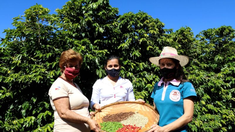 Com incentivo do Governo, projeto Mulheres do Café amplia produção no Paraná