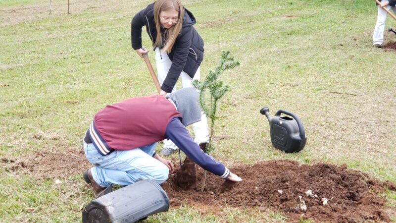 Colégio Agrícola Olegário Macedo realizou atividades do Dia da Árvore em Castro