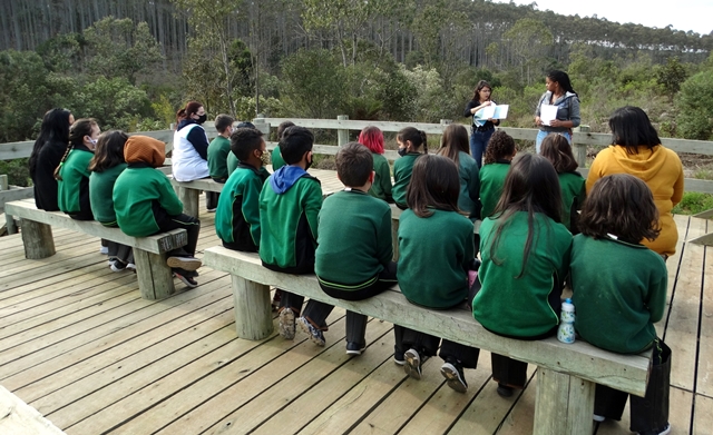 Parceria fortalece ensino sobre a diversidade e preservação das riquezas naturais de Jaguariaíva