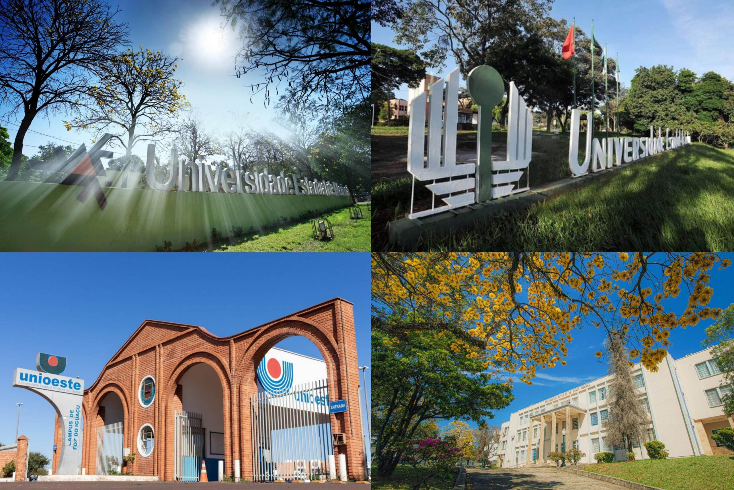 Universidades estaduais do Paraná estão entre as melhores do mundo em áreas do conhecimento
