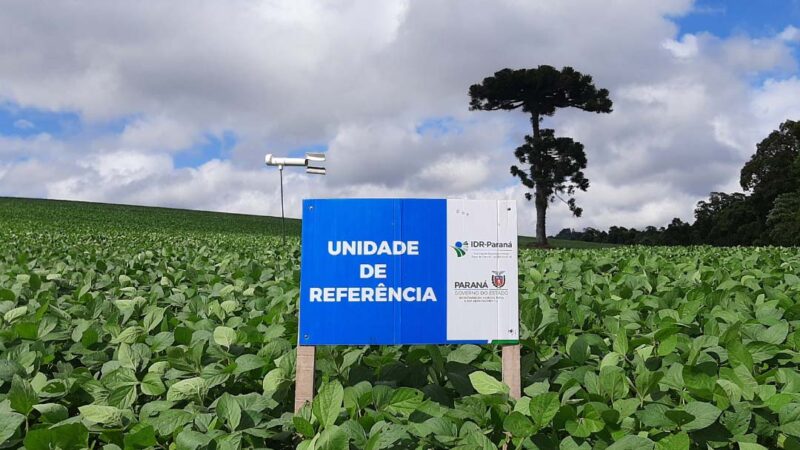 IDR-Paraná inicia os trabalhos da rede Alerta Ferrugem da soja safra 2022/2023