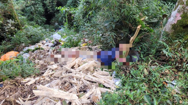 Três pessoas são apontadas como autoras da morte e ocultação de cadáver em Jaguariaíva