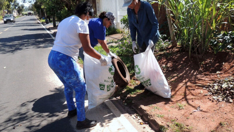 Força-tarefa retira 80 toneladas de objetos que acumulam água das cidades para combater a dengue