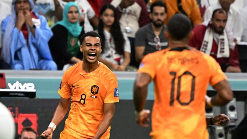 Holanda supera Catar por 2 a 0 para avançar como primeira do Grupo A