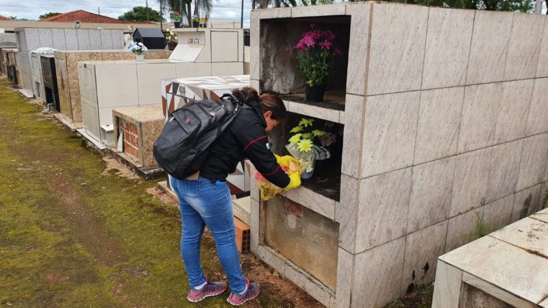 Agentes de Combate à Endemias de Tibagi realizam a remoção de recipientes que acumulam água nos cemitérios