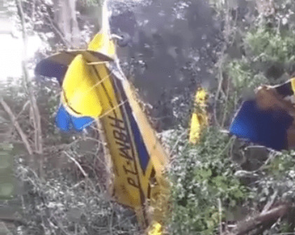 (ASSISTA AO VÍDEO) Avião de pequeno porte cai em meio a árvores