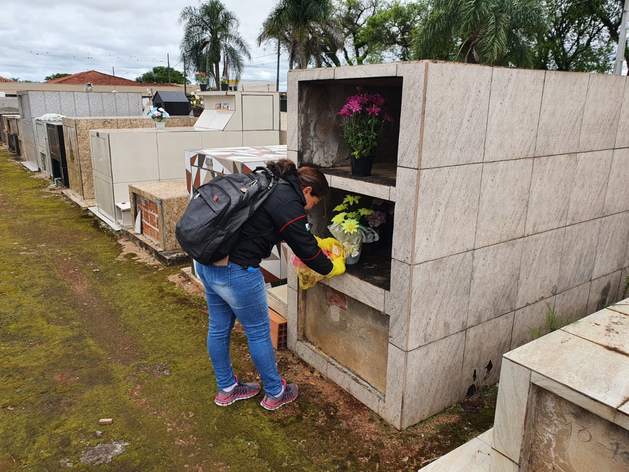 Saúde de Tibagi realiza busca ativa de escorpiões no cemitério municipal