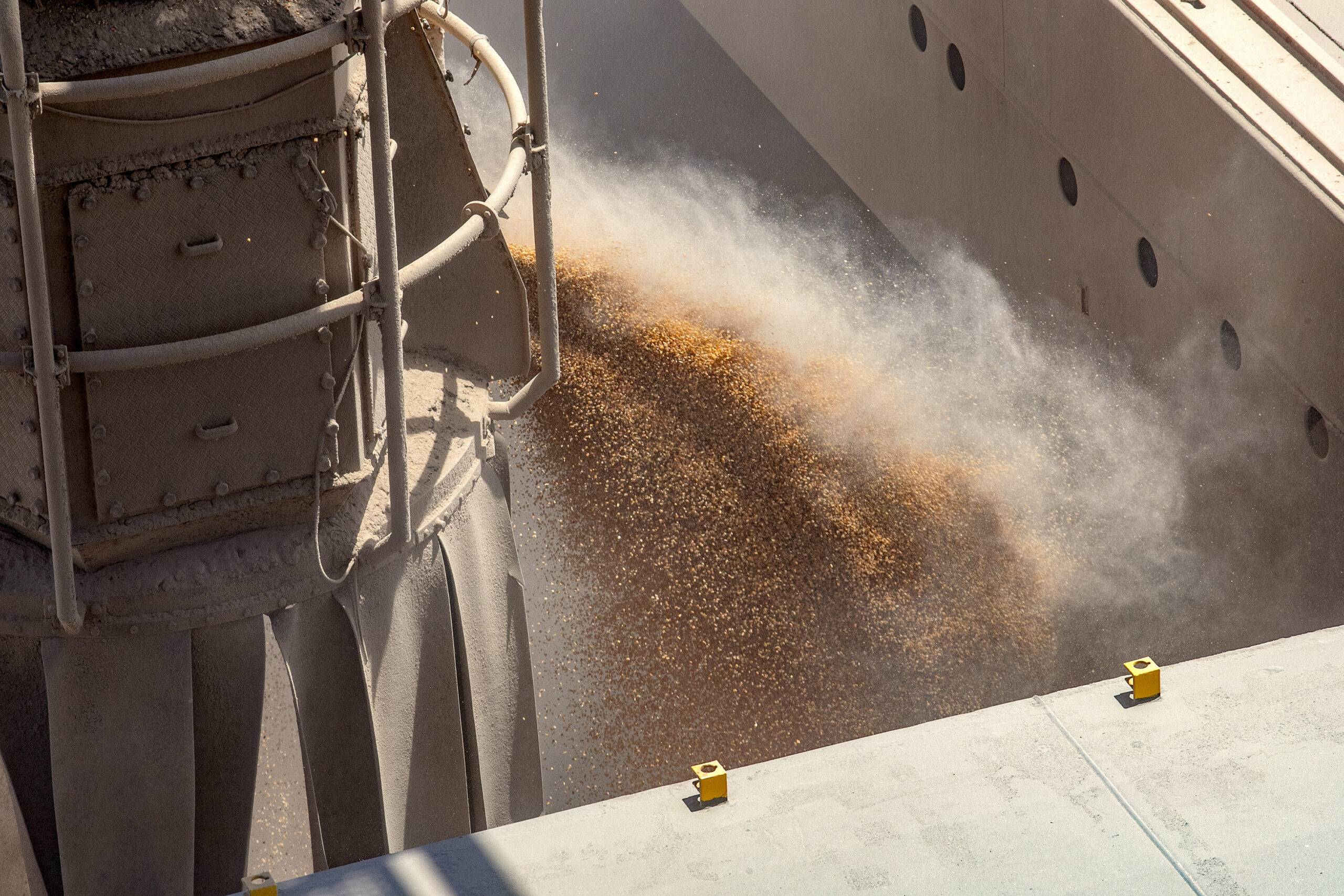 Volume de milho embarcado em janeiro, pelo Porto de Paranaguá, está 161% maior