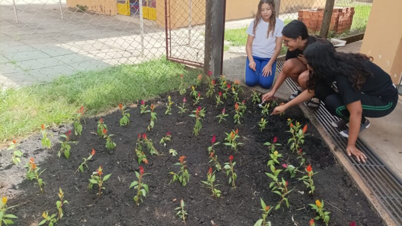 Grupo Reviver realiza projeto de Jardinagem “Cantinho Feliz” com crianças e adolescentes 