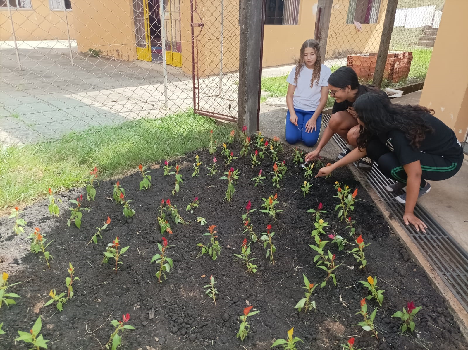 Grupo Reviver realiza projeto de Jardinagem “Cantinho Feliz” com crianças e adolescentes 