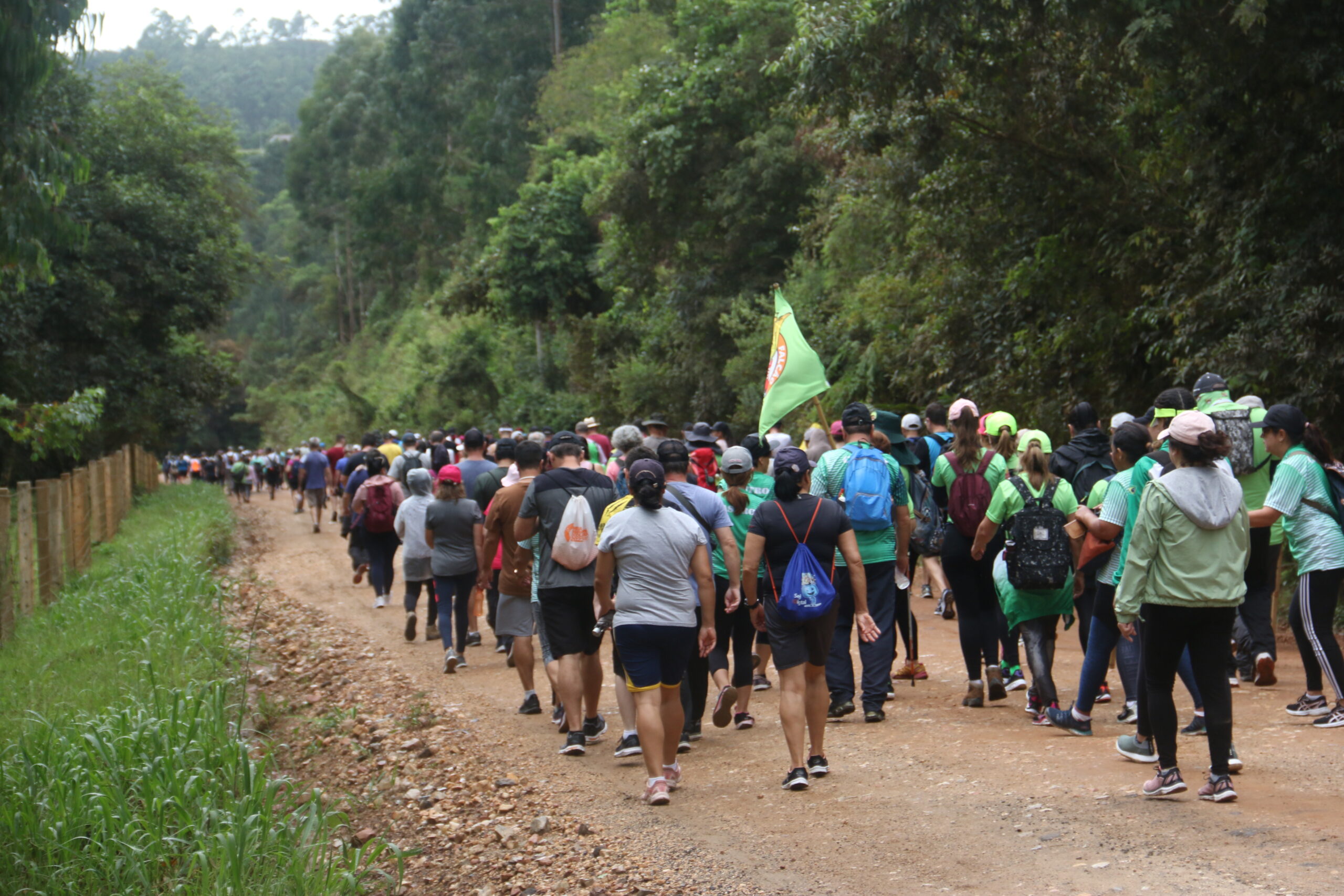 Caminhada na Natureza reúne mais de 700 participantes em Ponta Grossa