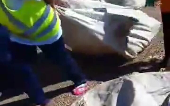 Vídeo viraliza e expõe condições de trabalho no Recicla Tibagi (veja)