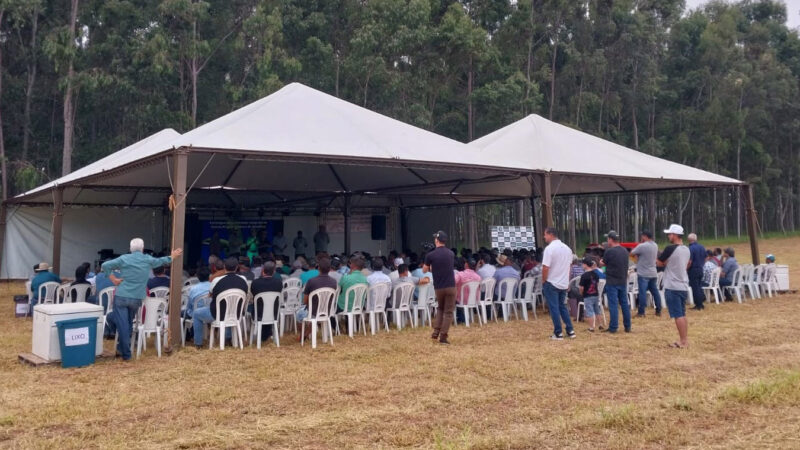 Com produção de mandioca em destaque no País, Rondon recebeu Encontro Regional de Produtores