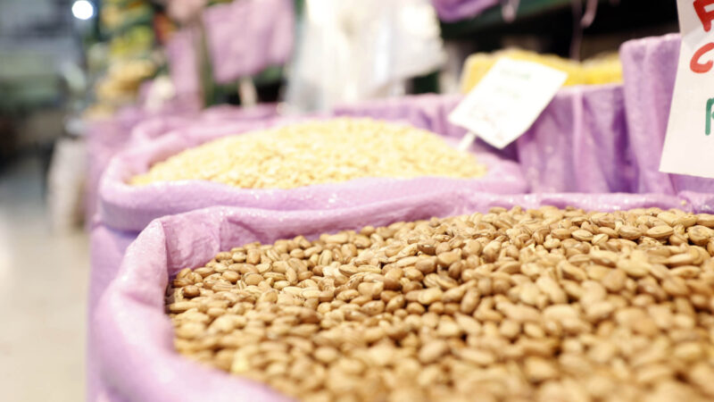 Colheita de feijão avança no Paraná e a expectativa é de aumento na produção