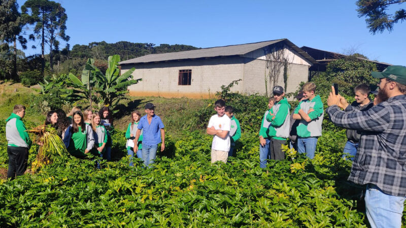 Com bom retorno financeiro, Paraná investe em olericultura e fruticultura para fidelizar jovens