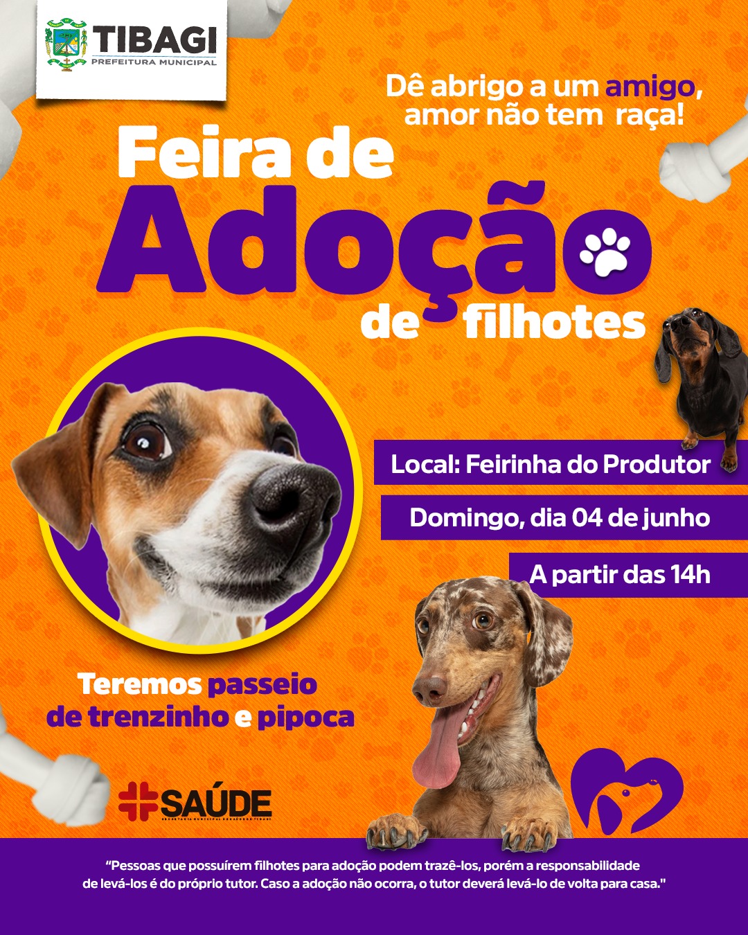 Saúde de Tibagi organiza feira de adoção de filhotes